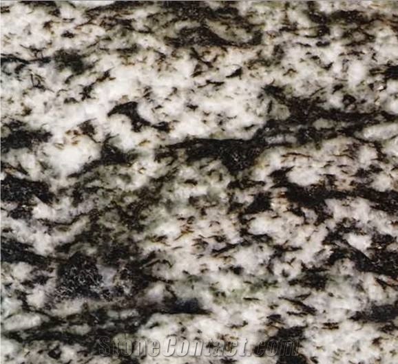 Blanco Platinum, Granite Floor Covering, Granite Tiles & Slabs, Granite Skirting, Granite Flooring, China White Granite