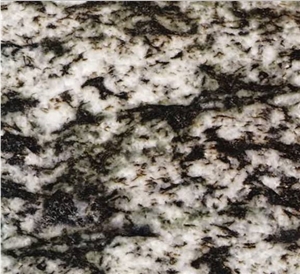 Blanco Platinum, Granite Floor Covering, Granite Tiles & Slabs, Granite Skirting, Granite Flooring, China White Granite