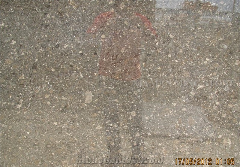 Walnut Brown Limestone Polished Slabs,Machine Cut Marron Diamond Pearl Panel Tile for Hotel Flooing,Interior Wall Cladding