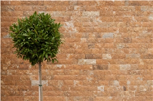 Terra Coral Splitface, Outdoor Stone, 10xflx2,3 Cm, Walling Stones