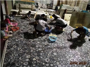 Petrified Wooden Semi Precious Stone Slabs & Tiles,Wall Cladding Tiles,Flooring Tiles,Counter Tops,Worktops,Vanity Tops,Bench Tops,Flooring Paver