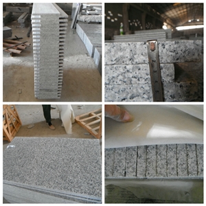 Wholesale Price China Quarry Factory Natural Stone New Customized Cut to Size Viscont White Granite Small Slab with Iso9001 for Kitchen Countertops