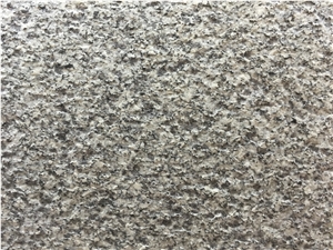 China G688 Grey Zhangpu Flower Granite Flamed Floor Tiles