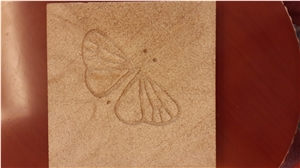 Red Sandstone Carving Wall/Floor Panel