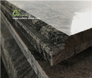 Classy G261 Juparana Grey Granite Steps/Stairs/Treads/Stairway/Ladder