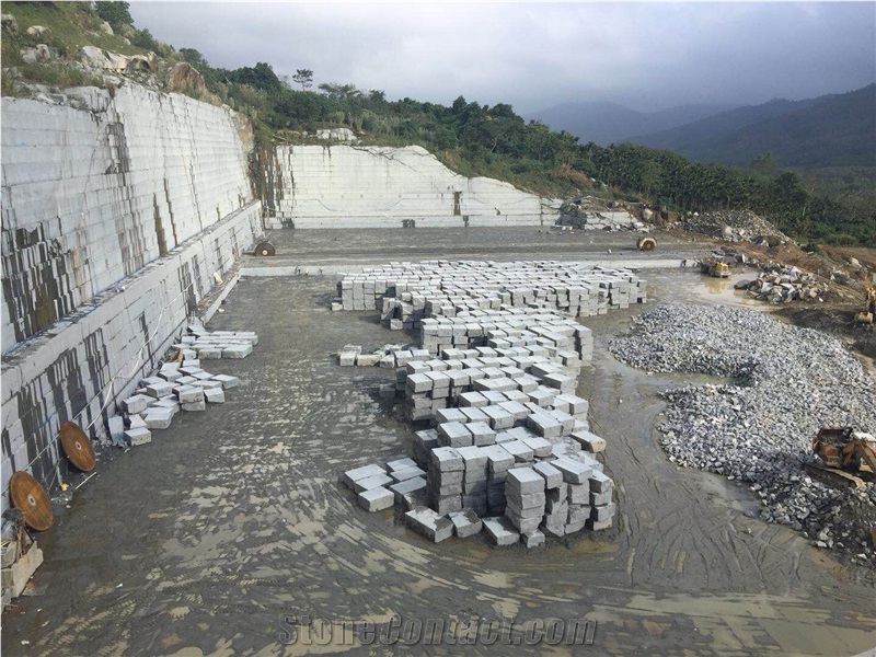 Own Quarry New G654 Grey Granite Blocks