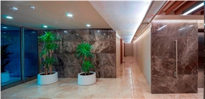 Olive Dark Marble Slabs & Tiles ( Dark Emperador )