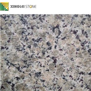 Beige/Yellow Butterfly Granite Countertops/Kitchen Tops