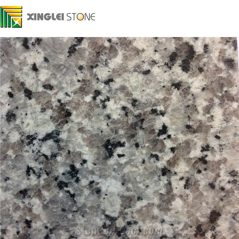 Swan Grey/Swan White/Chinese Grey/White Granite Kitchen Countertops