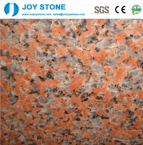 Cheap Maple Red G562 Granite Tiles,Slabs,Wall,Flooring for Sale