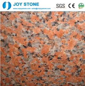 Cheap Maple Red G562 Granite Tiles,Slabs,Wall,Flooring for Sale