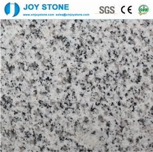 Cheap Polished,Honed,Flamed G603 Granite Slabs,Tiles,Walls Flooring