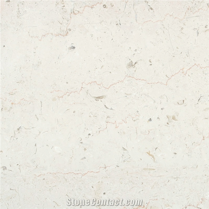 Apricena Fiorito Adriatico Limestone Tipo Tf Controfalda