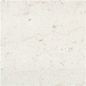 Apricena Fiorito Adriatico Limestone Tipo Tf Controfalda Apricena Fiorito Adriatico Limestone Tipo Tf Controfalda