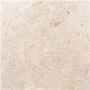 Classic Coral Stone