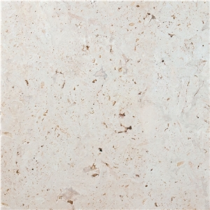 Classic Coral Stone Tiles & Slabs
