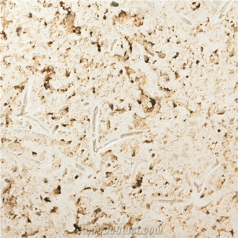 Colonial Coral Stone Tiles & Slabs