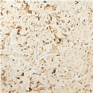 Colonial Coral Stone Tiles & Slabs