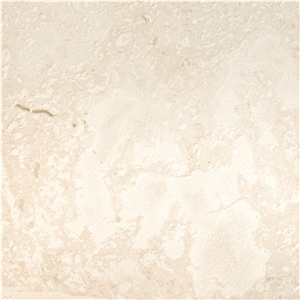 Palladium Coral Stone Slabs & Tiles