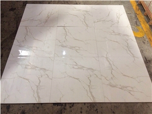 Calacatta 24x24 Polished Glossy
