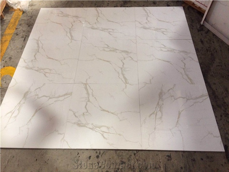 Calacatta 24x24 Polished Glossy