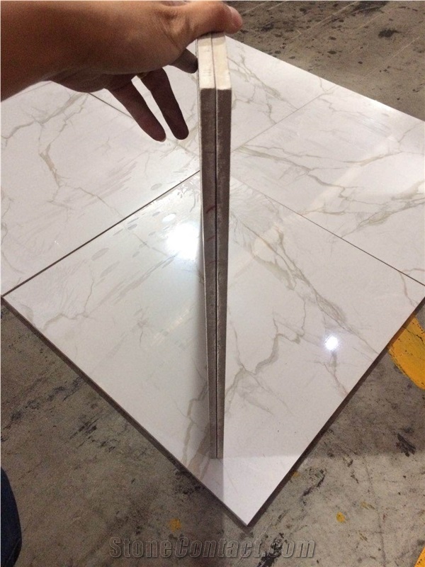 Calacatta 24x24 Polished Glossy