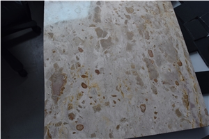 Fossil Beige Marble