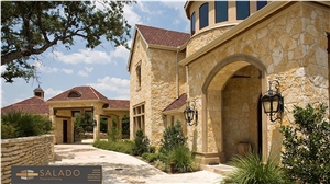 Sandstone Pattern Facade Chateau Color Gold