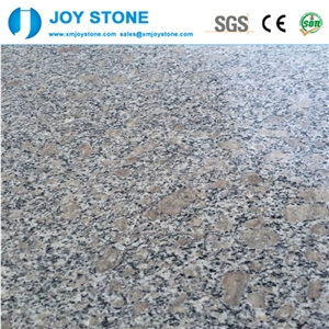 Cheap Price G383 Pear Flower Red Granite Bull Nose Stair Treads