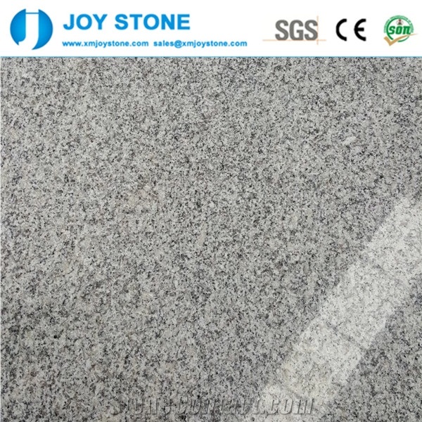 Polished New Bianco Sardo Grey Granite G602 2cm Bull Nose Edge Tread