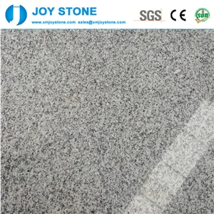 Polished New Bianco Sardo Grey Granite G602 2cm Bull Nose Edge Tread