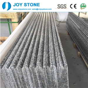 Polished New Bianco Sardo Grey Granite G602 2cm Bull Nose Edge Tread