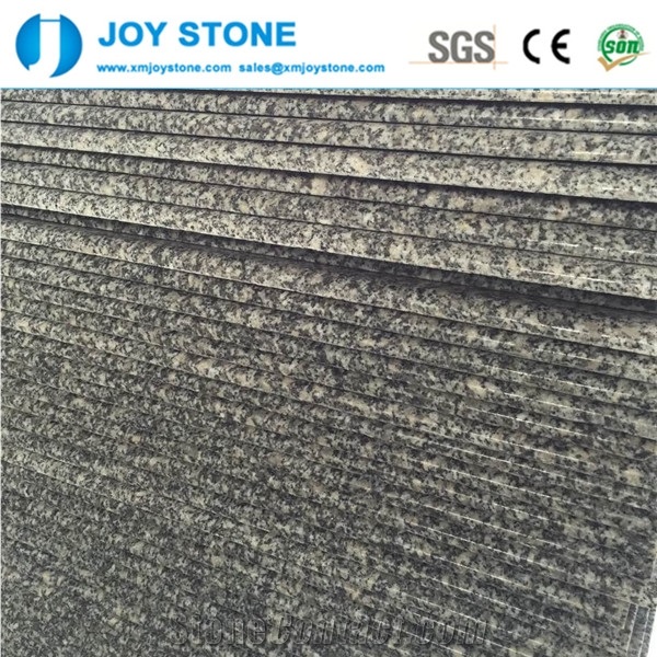 Polished New Bianco Sardo Grey Granite G602 2cm Bull Nose Edge Tread