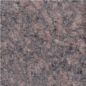 Dymovsky Granite Slabs - Brown Bear Granite