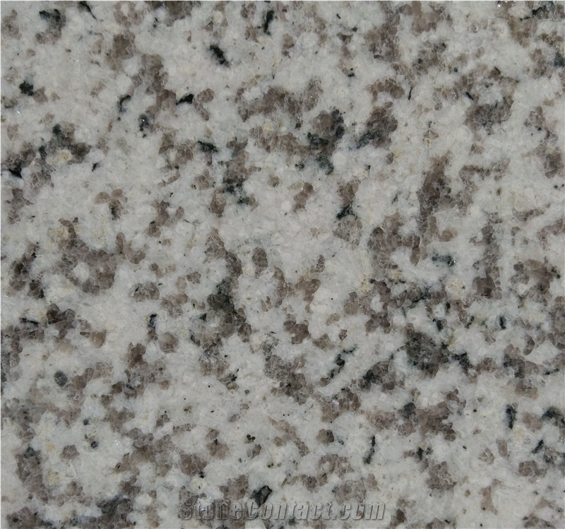 China White Granite G655 Slab,Tile