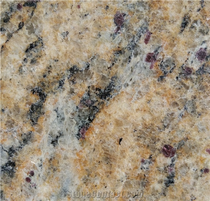 Santa Cecilia Light Granite/Brazil Yellow Granite/Tiles&Slabs Worktops
