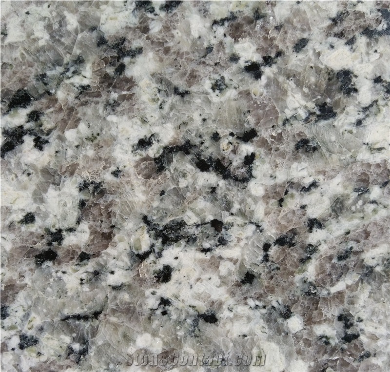 Swan Grey/Swan White/Swan Cloud/Chinese Grey/White Granite Countertops