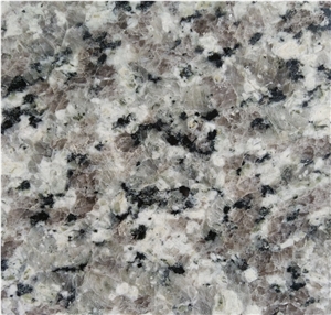 Swan Grey/Swan White/Swan Cloud/Chinese Grey/White Granite Countertops Swan Grey/Swan White/Swan Cloud/Chinese Grey/White Granite Countertops