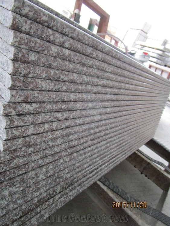 Big Quantity Cheap G664 Granite Stair Step Riser Tread Bullnos Edges