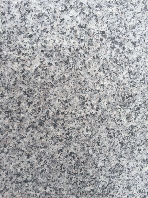Factory China New G654 Padang Dark Grey Flamed Slabs Tiles Cheap Price