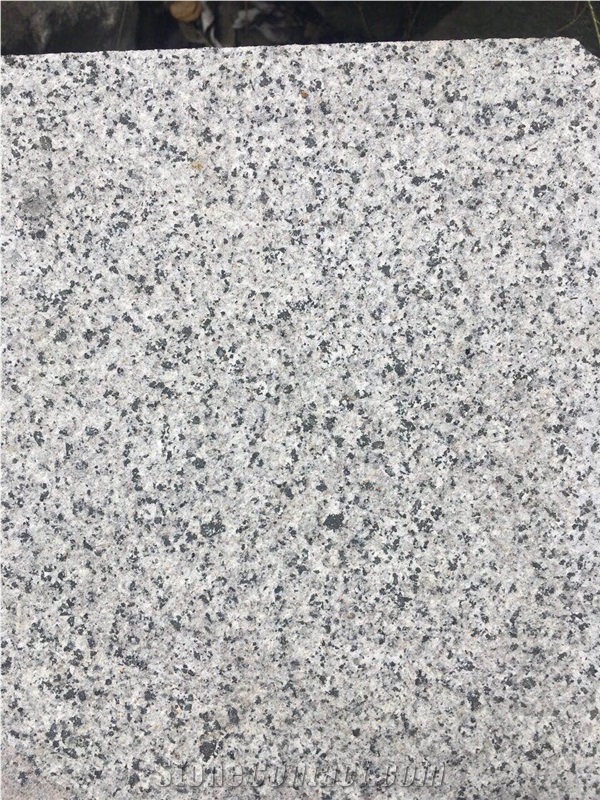 Factory China New G654 Padang Dark Grey Flamed Slabs Tiles Cheap Price