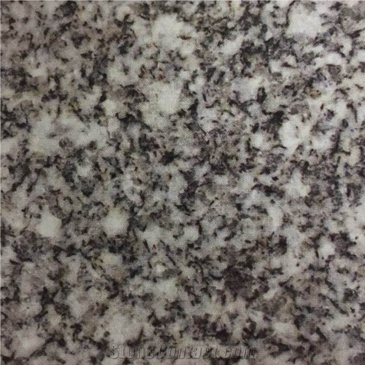 Barre Grey Granite Slabs Tiles