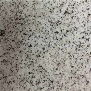 Branco Perola Granite Slab Tiles Portugal Branco Perola Granite Slab Tiles Portugal