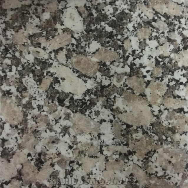 Gris Mondariz Grey Granite Slabs Tiles Spain