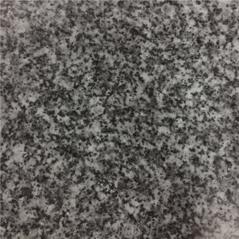 Gris Quintana Grey Granite Slabs Tiles Spain