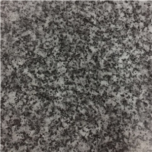 Gris Quintana Grey Granite Slabs Tiles Spain