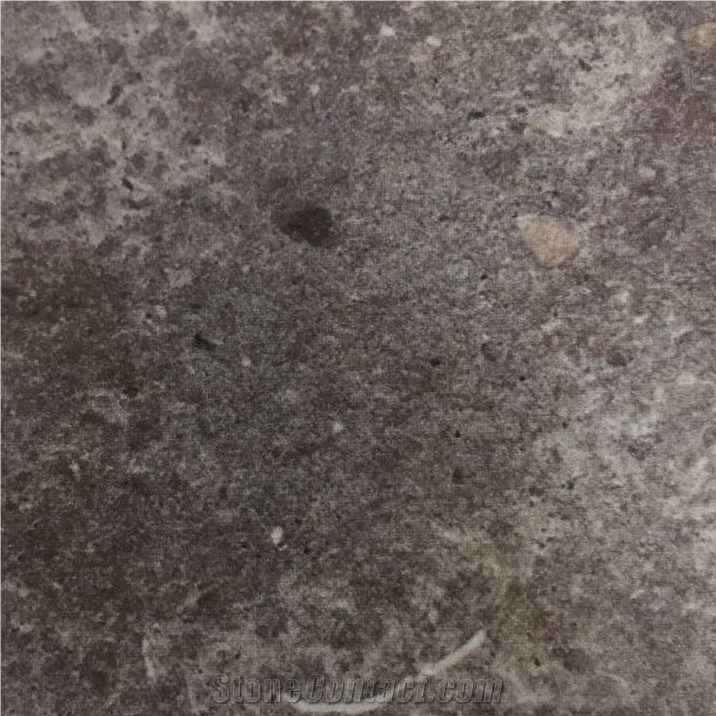 Gris San Vicente Grey Limestone Slabs Tiles