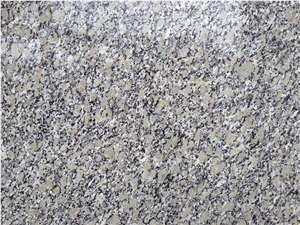 Gold Autumn Granite Polished Tiles&Slabs