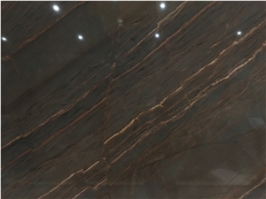 Sand Dunes / Brazil High Quality Brown Quartzite Tiles & Slabs