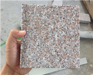 China G648 Zhangpu Red Granite Wall